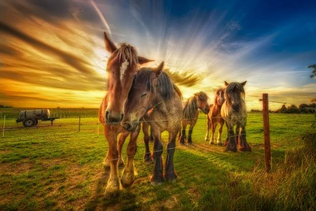 Ph0to by:  Ivan Maigua