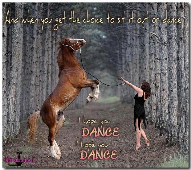 horse I hope you dance
