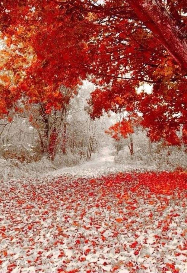 winter and fall earth porn