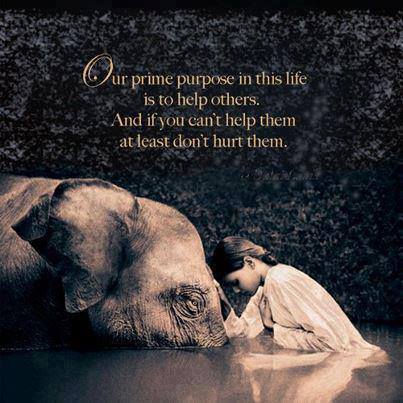 help don't hurt others
